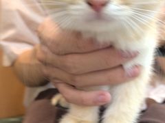 -联合动物医院(光谷诊疗中心)
