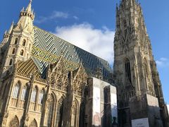 -斯蒂芬主教座堂(Stephansdom)