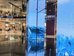 -深圳湾万象城(南山店)