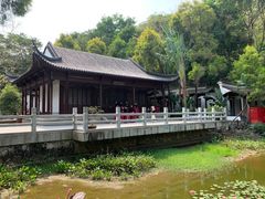 -深圳国际园林花卉博览园