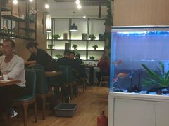 -三猫黑鱼花(南大店)