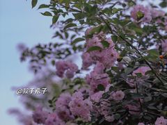-江南茗茶城