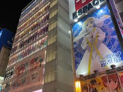 -秋叶原电器街