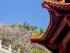 -南沙天后宫景区