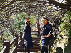 -凤凰山国家森林公园