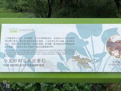 -西湖风景区-江洋畈生态公园