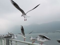 -昆明洲际酒店