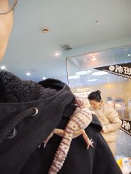 -神奇动物撸宠馆·羊驼·小浣熊·异宠(豫园店)