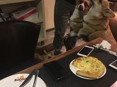 -百好乐宠物友好餐厅(朝外大街店)