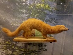 -下渚湖国家湿地公园科普馆