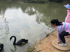 -扬州天乐湖嬉乐谷