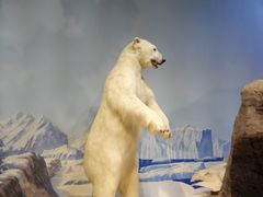 -陕西自然博物馆