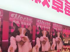 -K22.酸奶草莓(烟台芝罘店)