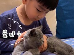 -猫大福·Fortune Cat猫舍(百子湾店)