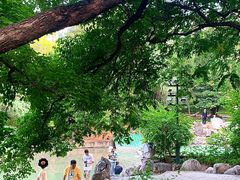 -西苑公园