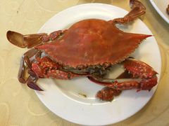 海岛渔村大酒店-海岛渔村大酒店(云霄路店)