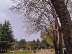 -洛阳市隋唐城遗址植物园