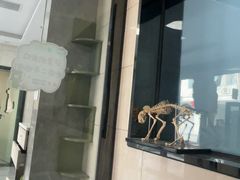 -半岛宠物医院24小时(白果林店)