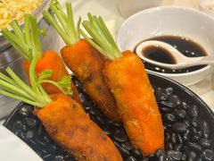 -丁老爷子苏香圆