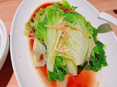 -老阿妈蒙古村·蒙古包·草原文化·歌舞表演(老君堂店)