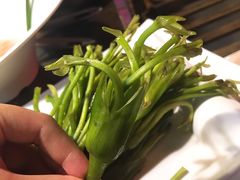 -老诚一锅羊蝎子(黄寺大街店)