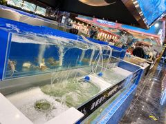 水产区-圣罗巴海鲜自助(黑金店)