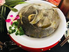 -二荆条·蜀鲜汇城市森林火锅