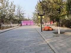 -杨柳青庄园
