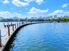 -金鸡湖景区