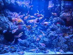 -成都浩海立方海洋公园