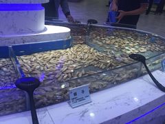 -澜悦港海鲜体验主题餐厅