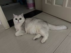 -艾贝尔宠物医院 ·内科全科(梁溪路店)