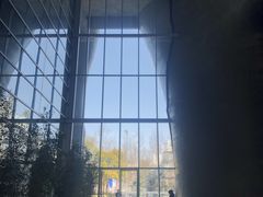 -证大喜玛拉雅中心