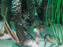 -沈阳海洋探索中心