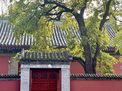 -承恩寺