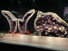 -正佳自然科学博物馆