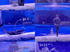 -华夏文旅海洋公园