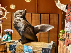 -波塞冬旅游度假区