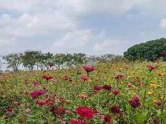 -嘉北郊野公园