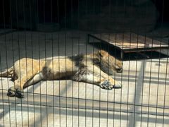 -鄂尔多斯野生动物园