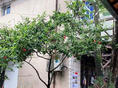 -李东农庄(中南百草园地标店)
