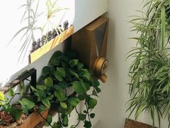 -唐咖精品咖啡(大理古城手冲店)