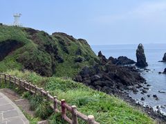 -涉地可支