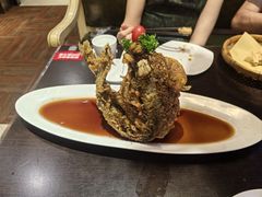 -老牌坊鲁菜名店(聊城美食岛店)