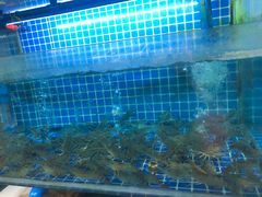 -吉源大排档·鱼生·海鲜(烧烤彩印厂店)