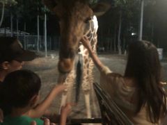 -清迈夜间动物园