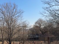 -石家庄市动物园