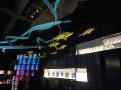 -同济大学四平路校区深海探索馆