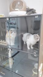 -花系美·美甲美睫精品店