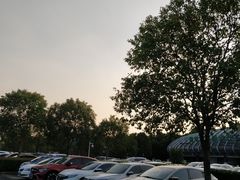 -上海欢乐谷-停车场